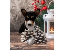 Basenji Puppy 02