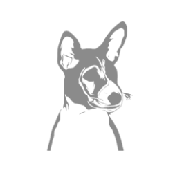 Understanding Basenjis